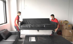 ���ڹ�˾��Ǩ