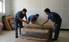 ���ݳ�����Ǩ