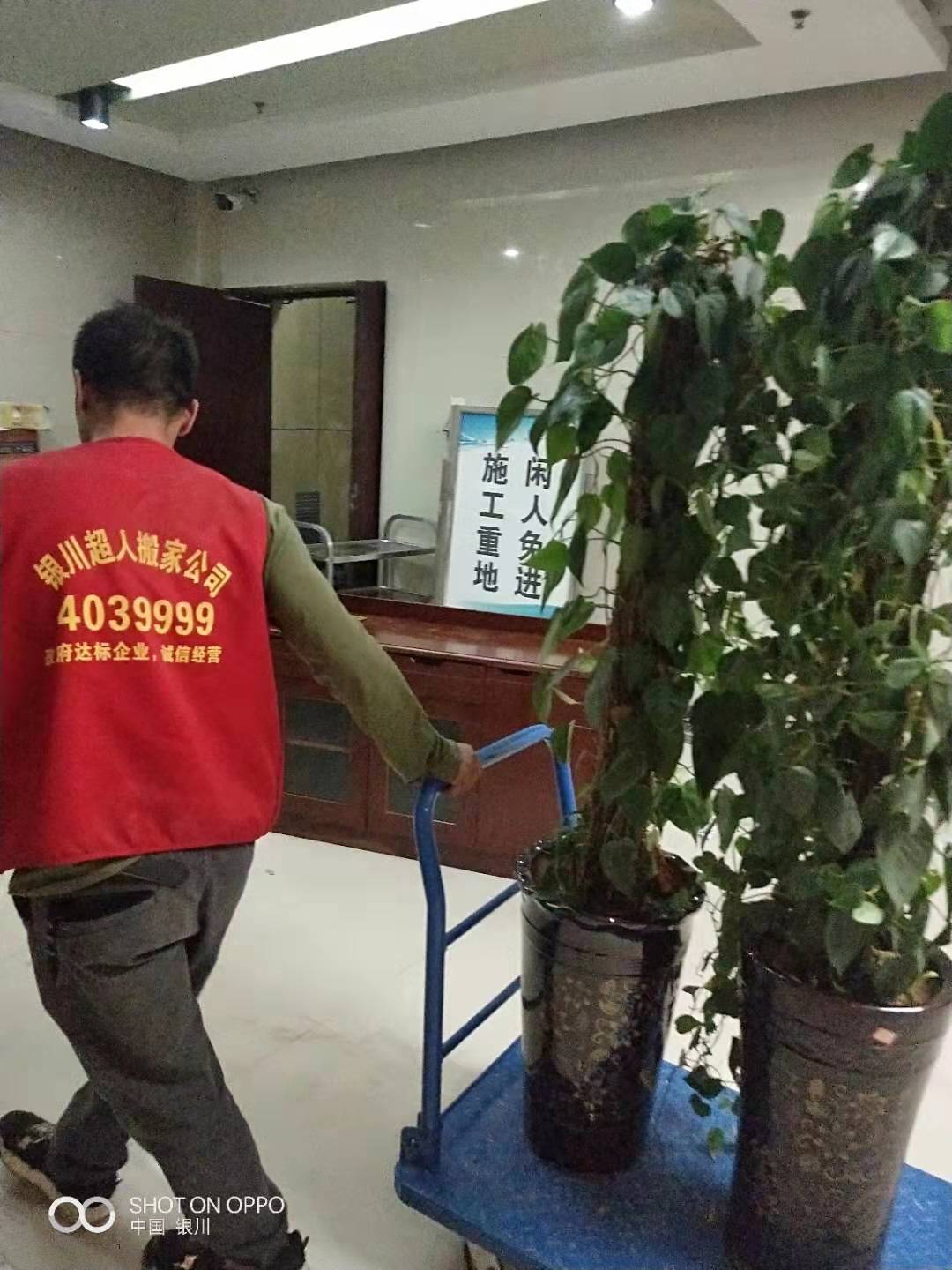 ���˰���ֳ�2