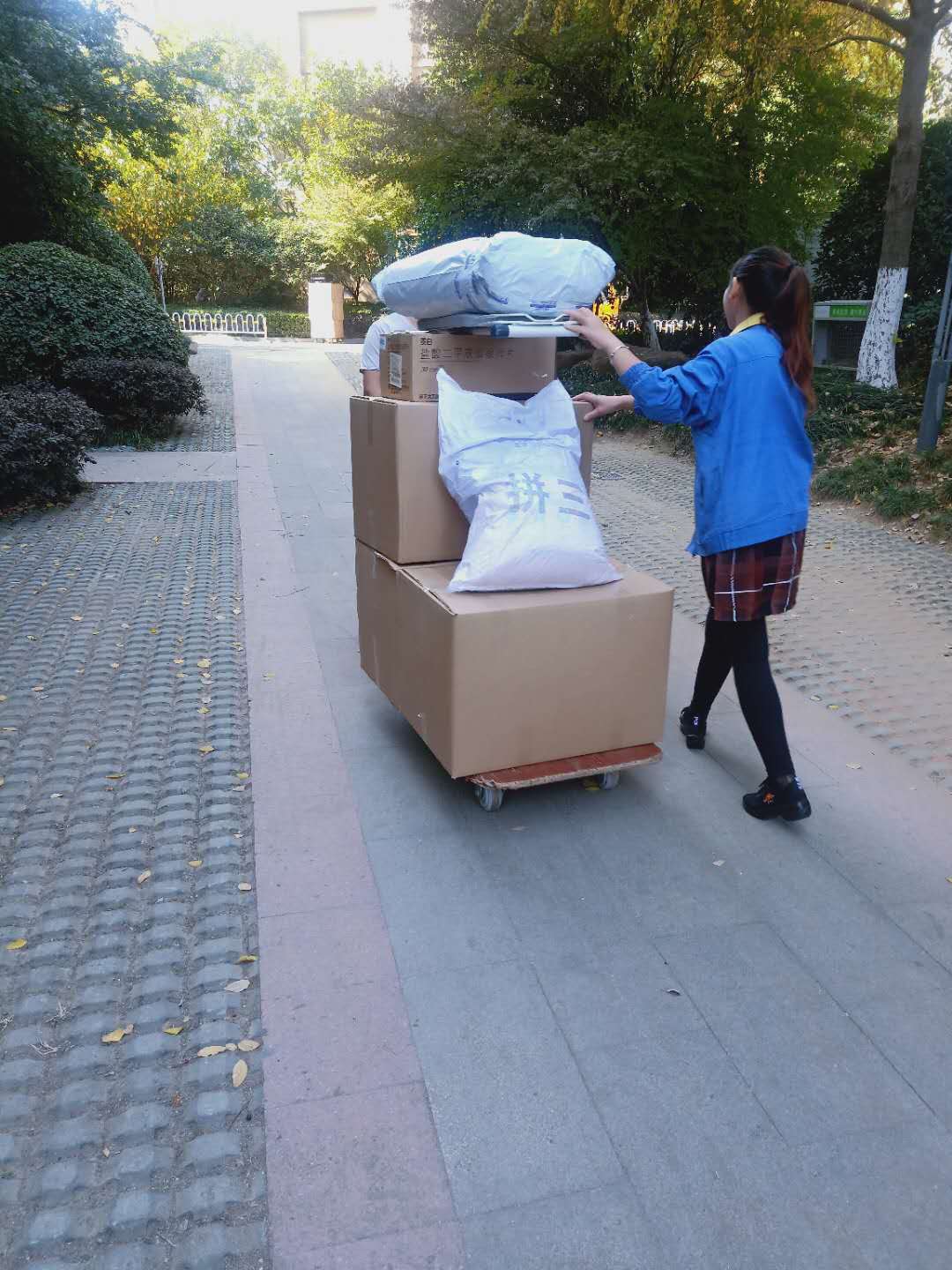 ��������