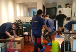 �˲���ͥ���