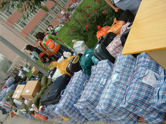 ����С�Ͱ��|�յ��ƻ�|���˰��|ѧ�����|С�����