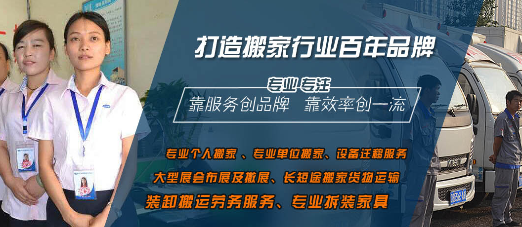 ���ǵ��Ŷ�