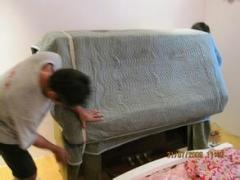 �Ͳ��������