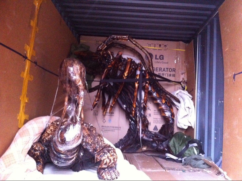 ���ո���Ǩ���ͼ