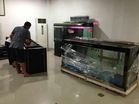 �Ͳ��������